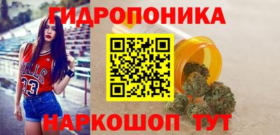 дживик Кимры