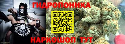 спиды Кинель