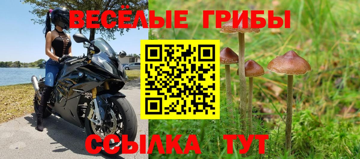 Надым  Псилоцибиновые грибы мицелий  Вход с VPN 